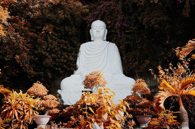 Buddhist Monk Preach